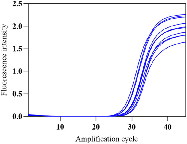 Figure 13
