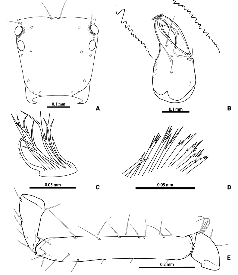 Figure 8