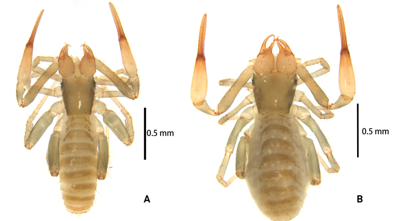 Figure 10