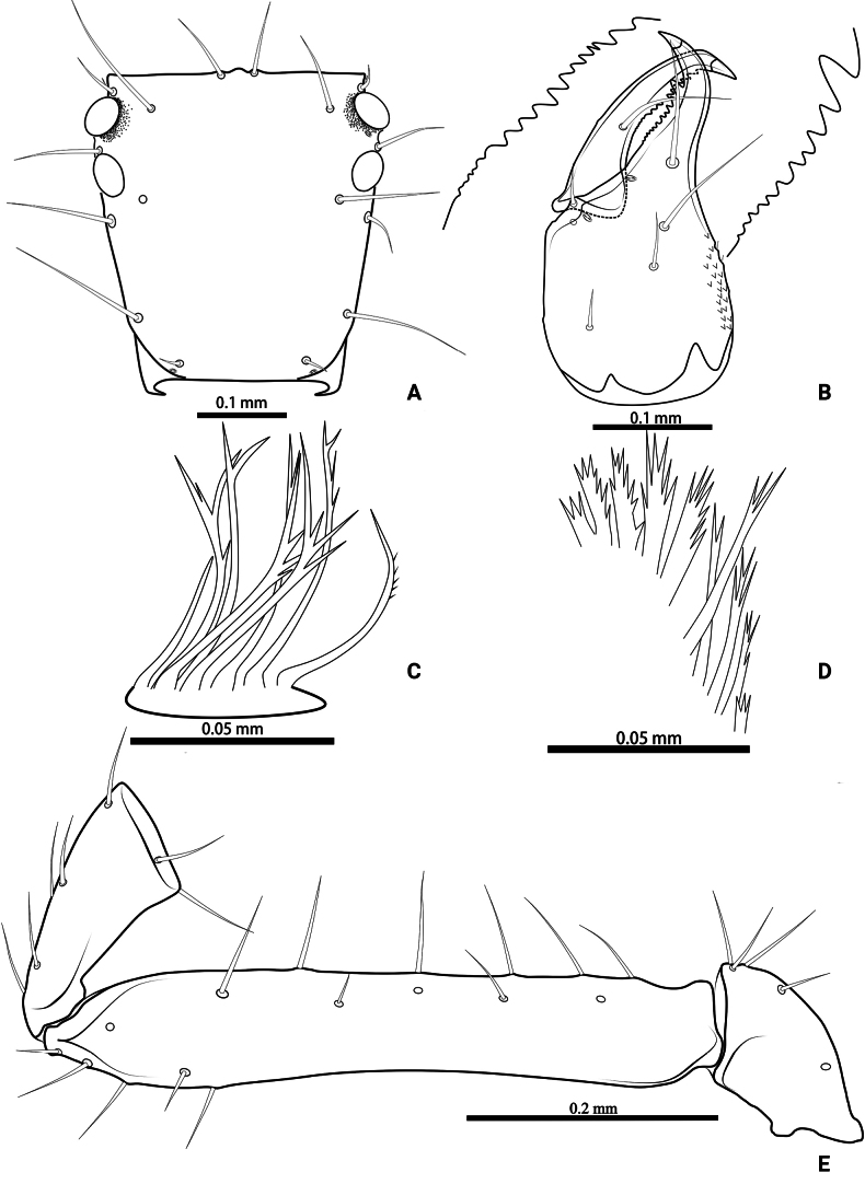 Figure 12