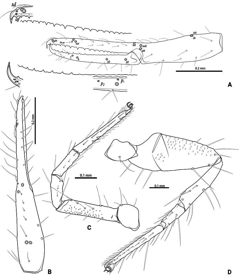 Figure 13