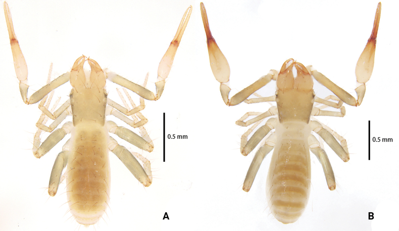 Figure 14