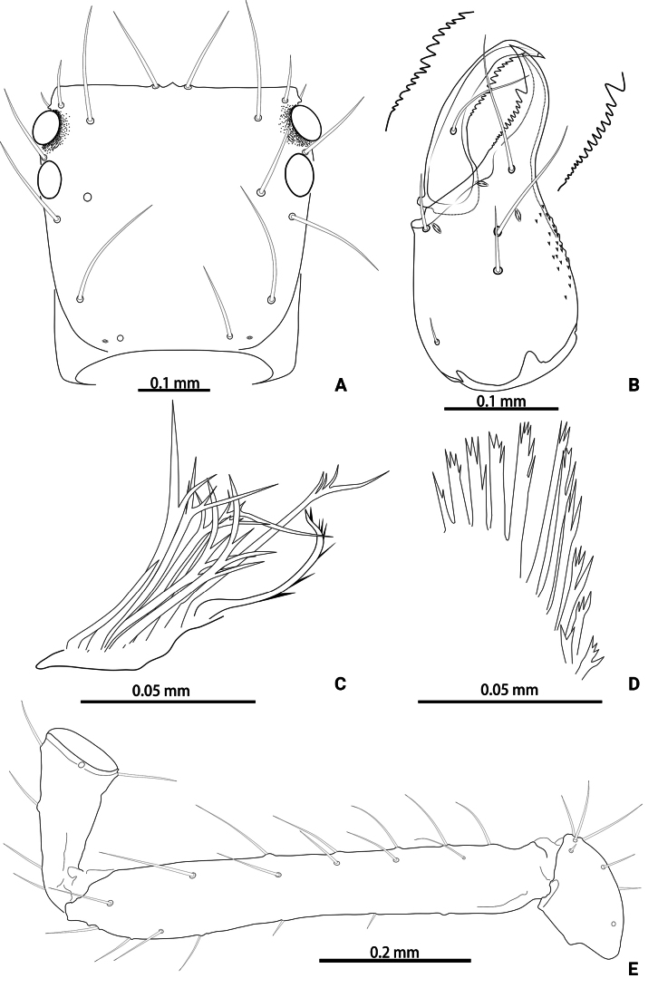 Figure 16