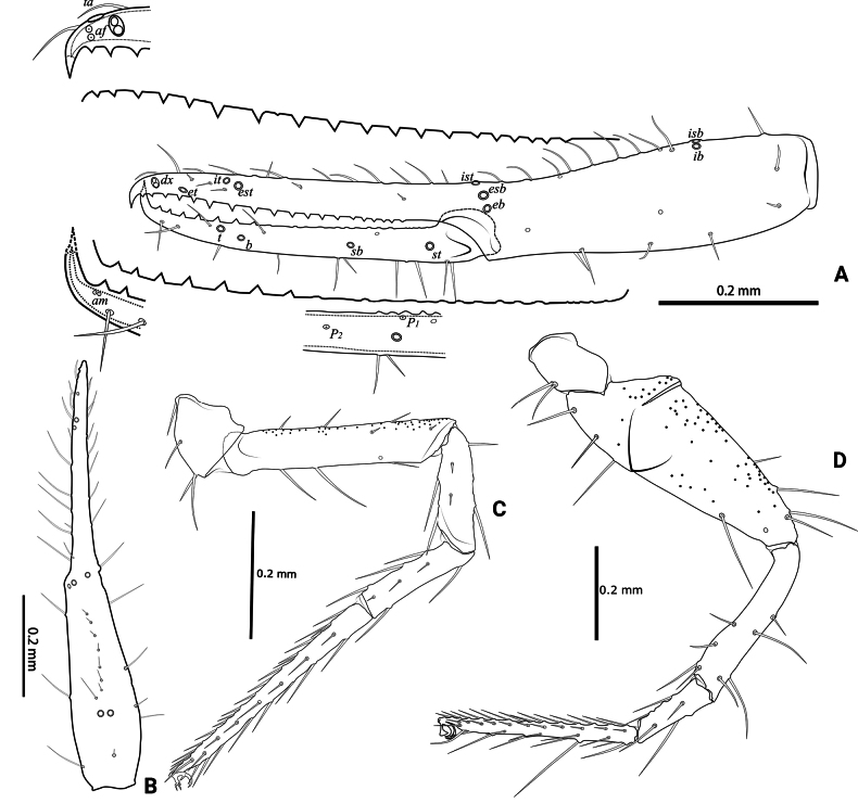 Figure 17