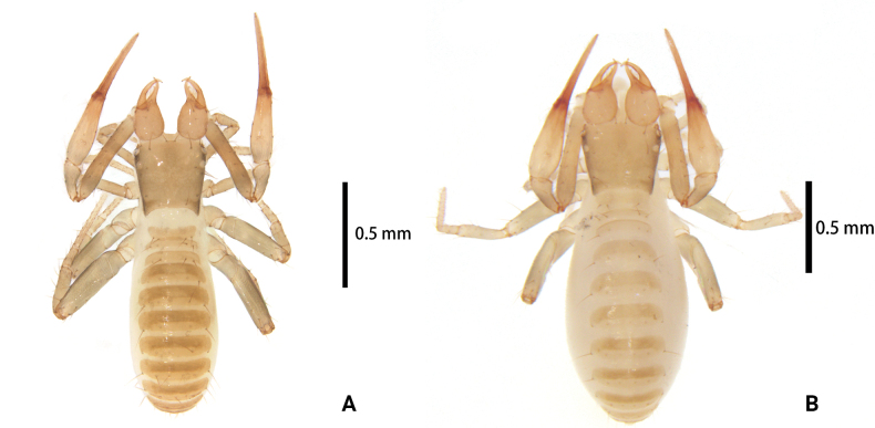 Figure 18