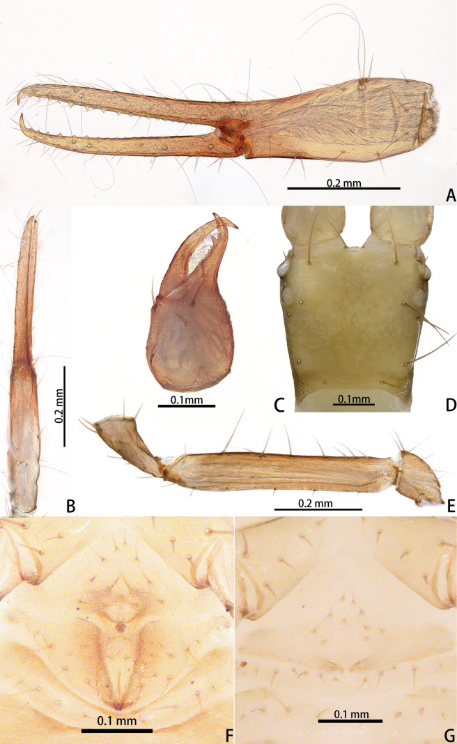 Figure 19