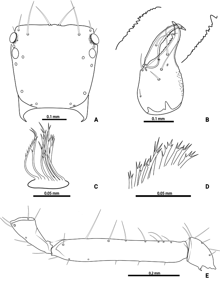 Figure 20