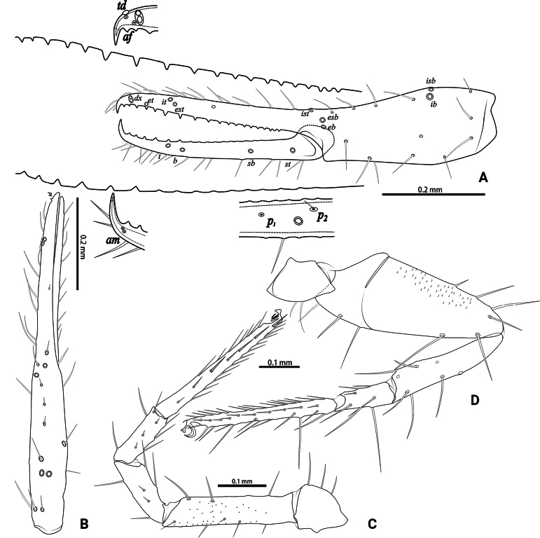 Figure 21