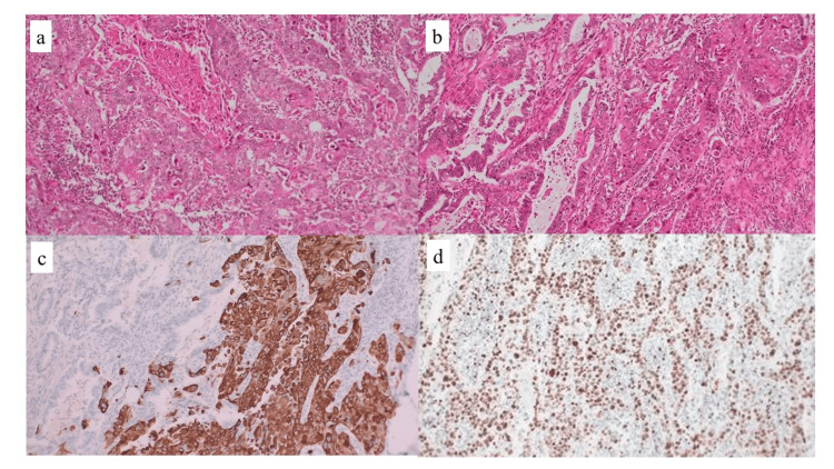 Figure 7