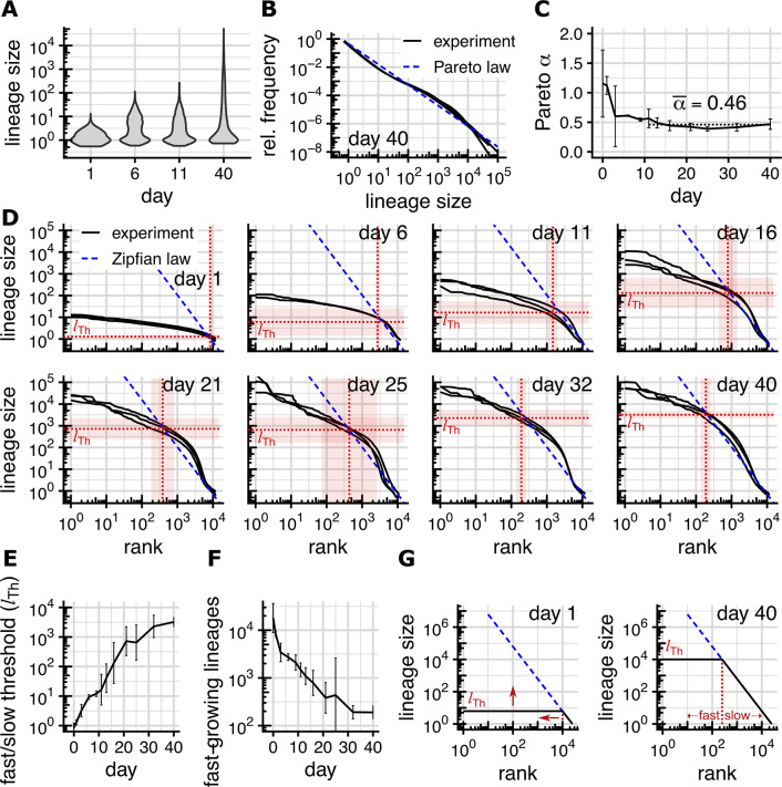 Figure 36