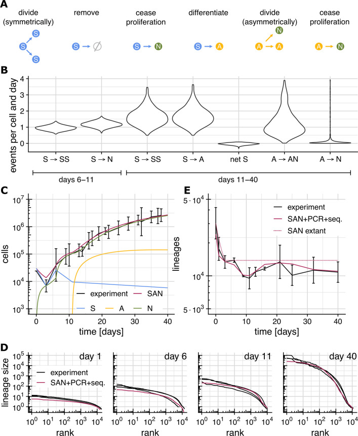 Figure 37