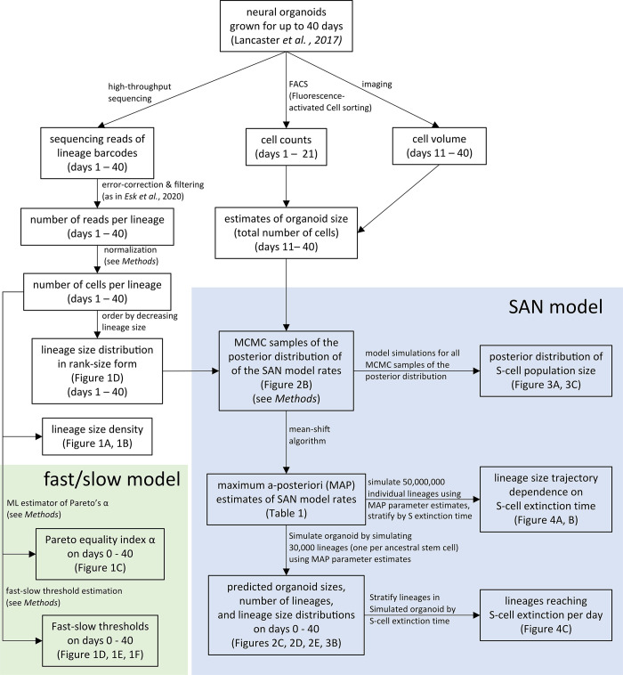 Figure 40