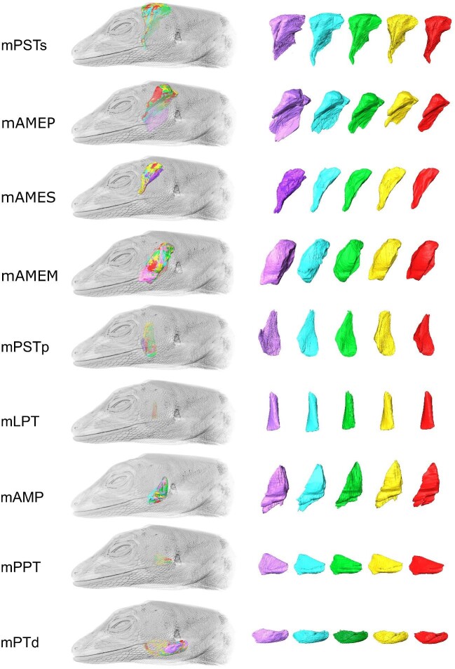 Figure 10
