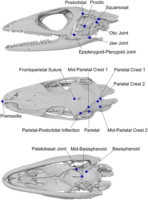 Figure 2