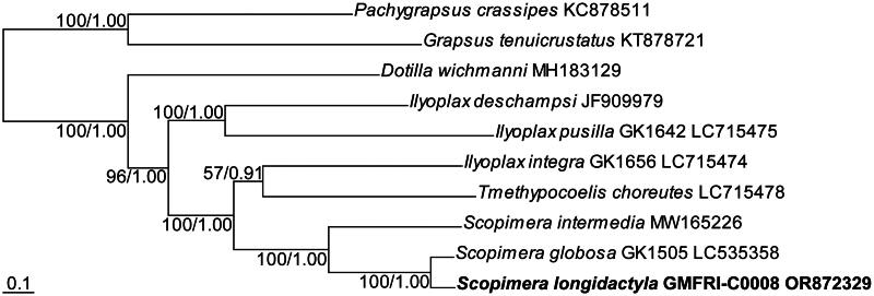 Figure 3