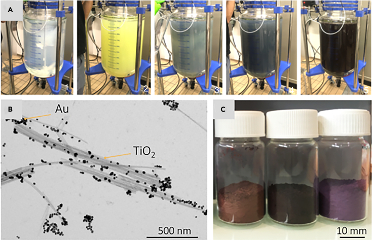 Figure 4