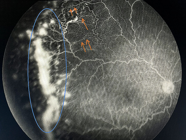 Figure 8