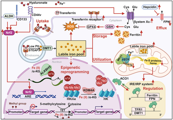 Figure 2