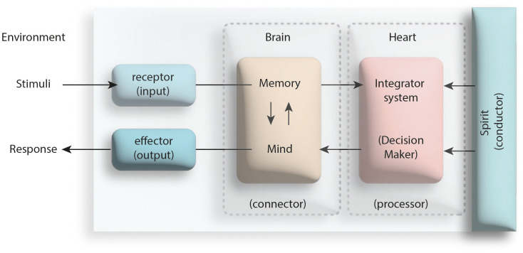 Figure 3