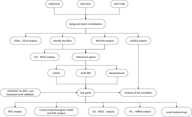 Figure 1