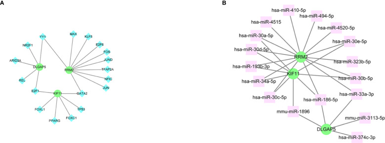 Figure 10