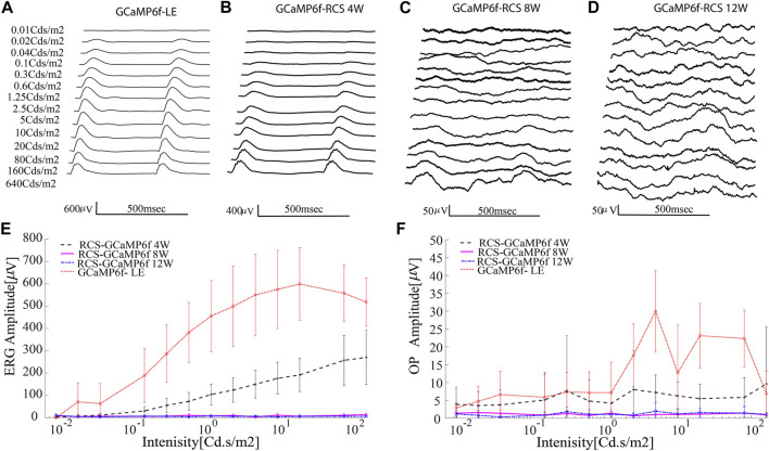 FIGURE 6