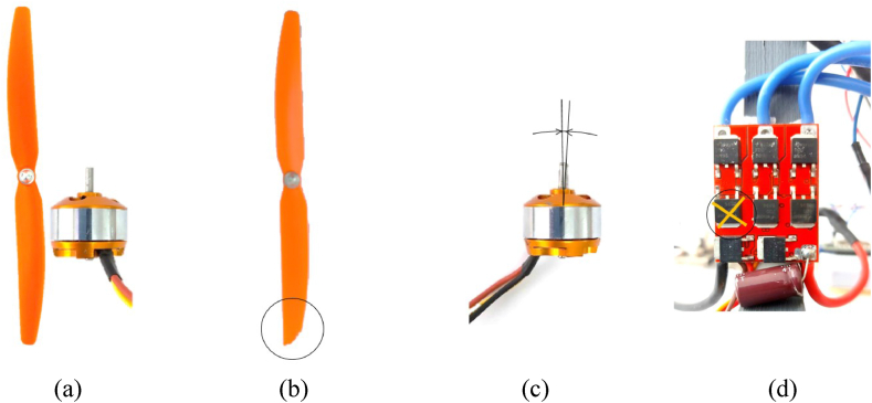 Figure 8