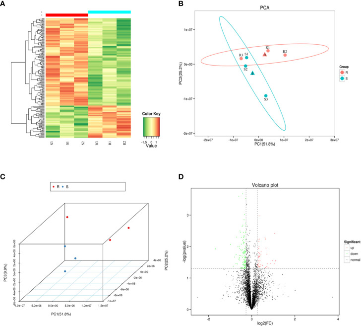 Figure 2