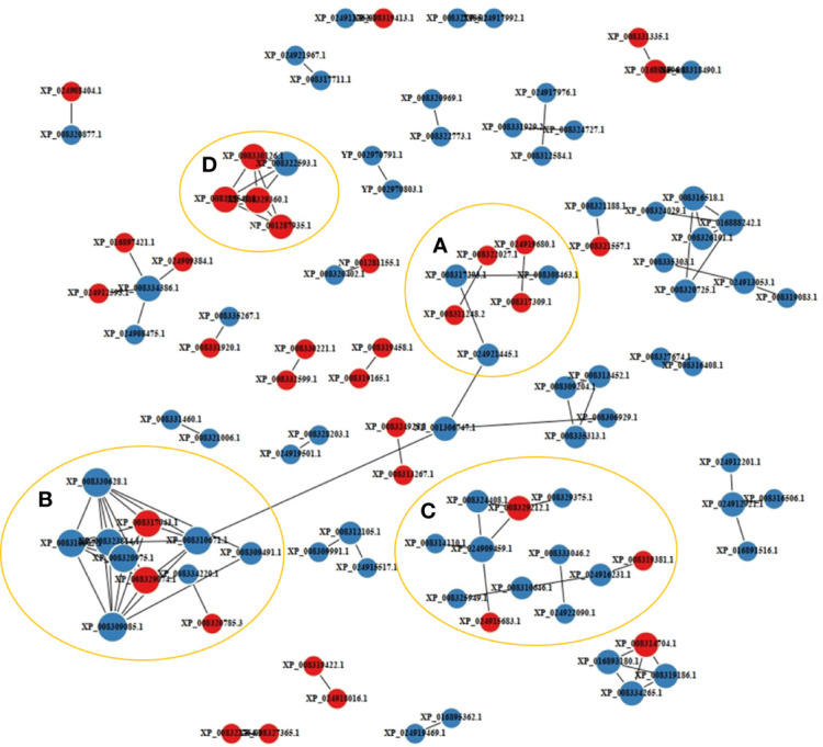 Figure 4