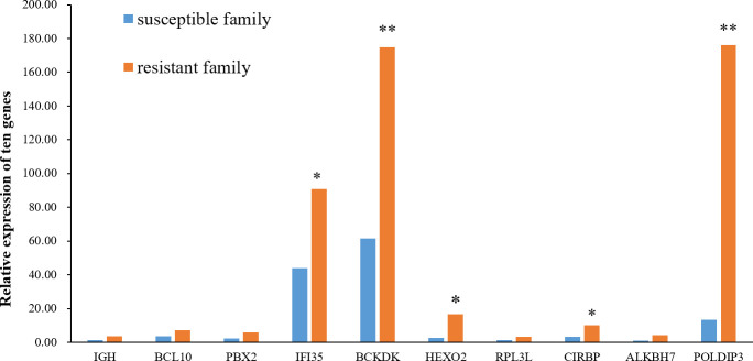 Figure 7
