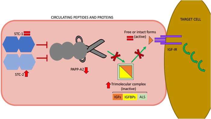 Figure 3