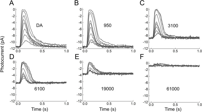 Fig 4
