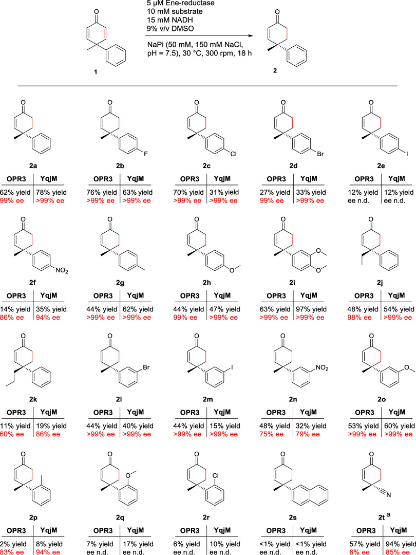 Scheme 2