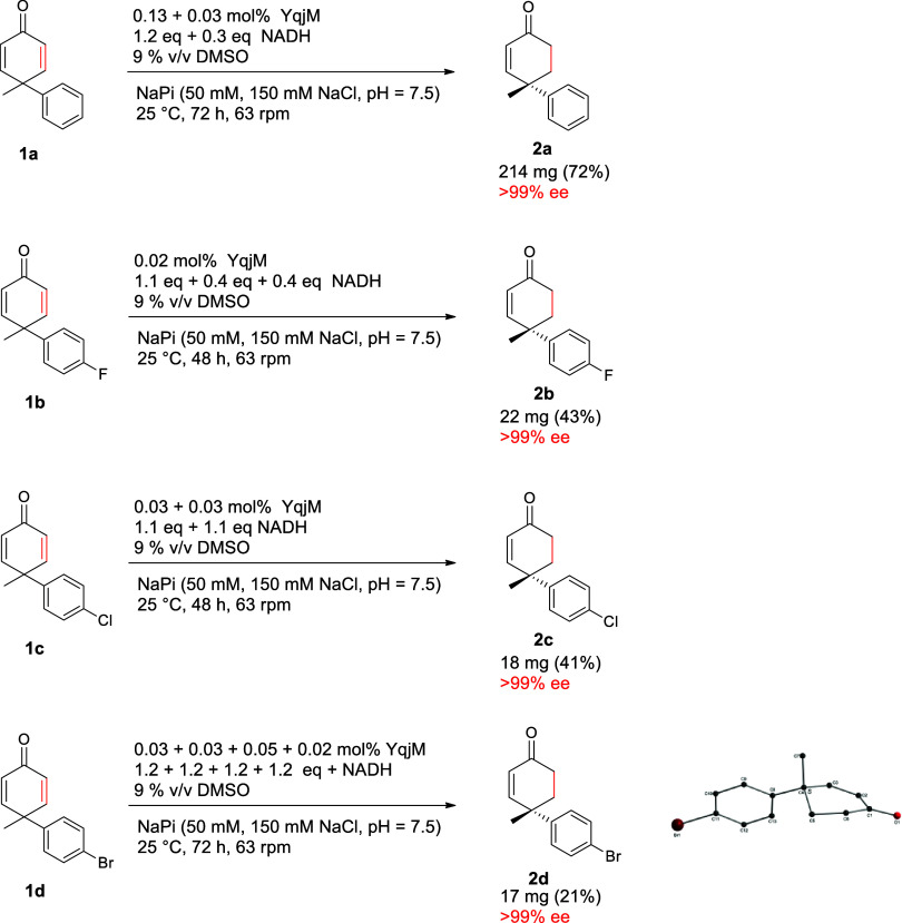 Scheme 3