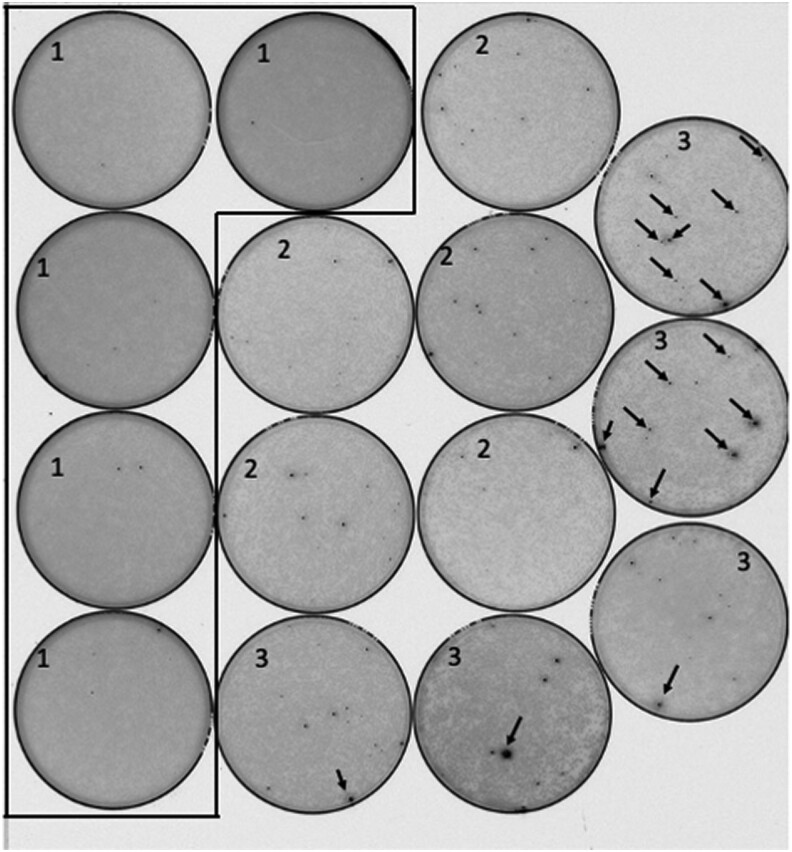 Fig. 6