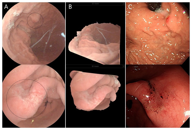 Fig 5