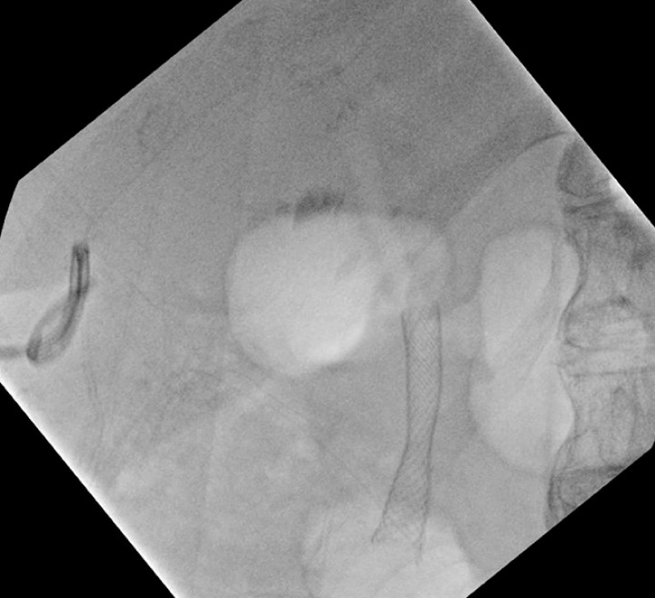 Fig. 5
