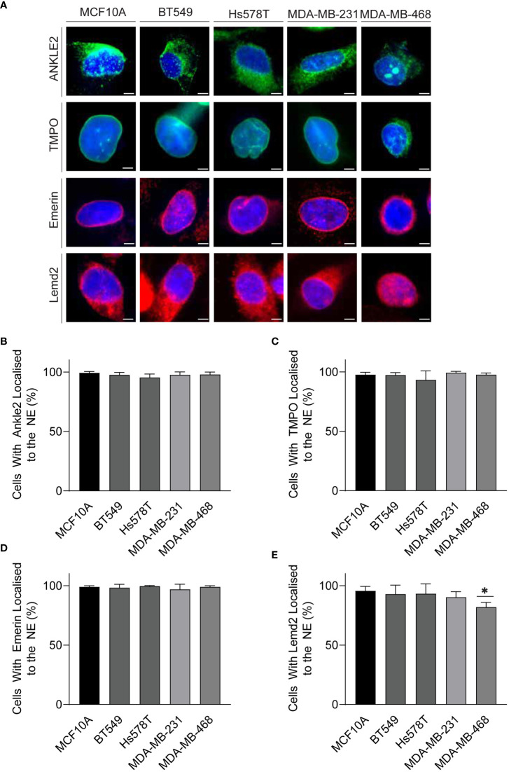 Figure 3