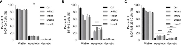 Figure 6