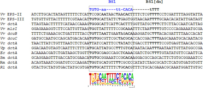 Fig 8