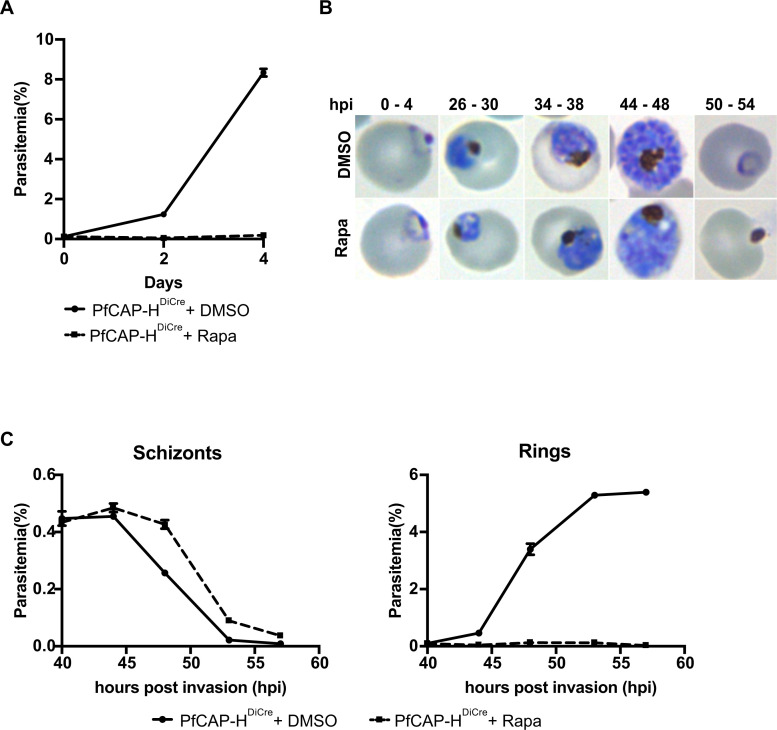Fig 4