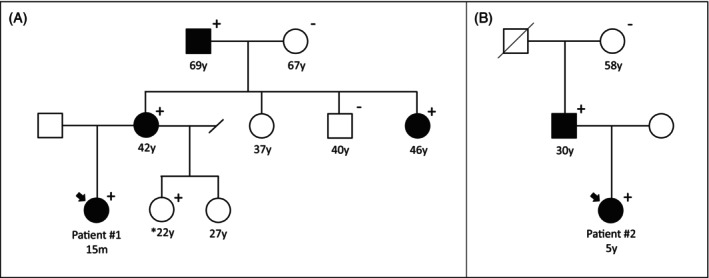 FIGURE 1