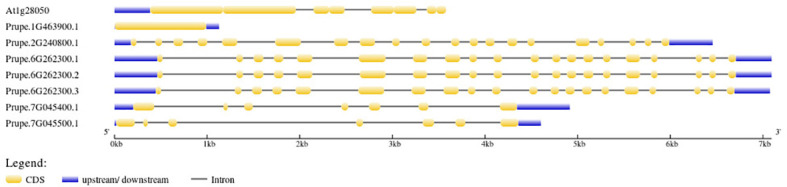 Figure 4