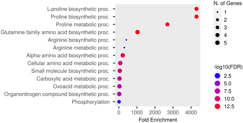 Figure 5