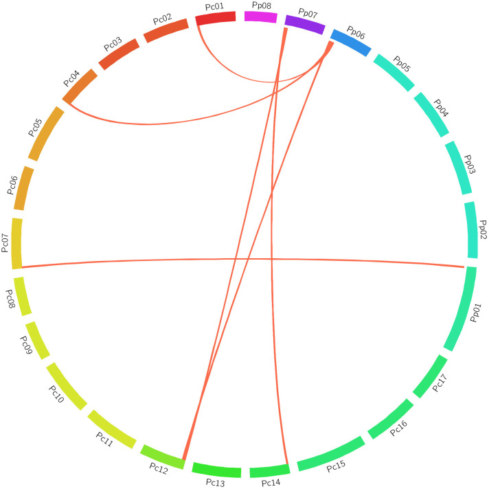Figure 7