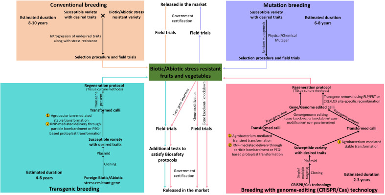 Figure 1