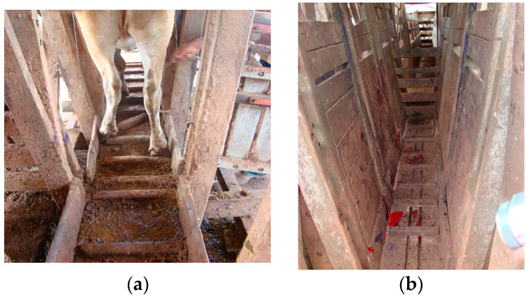 Figure 6