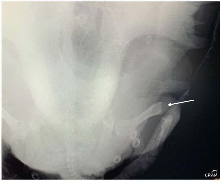 Figure 6