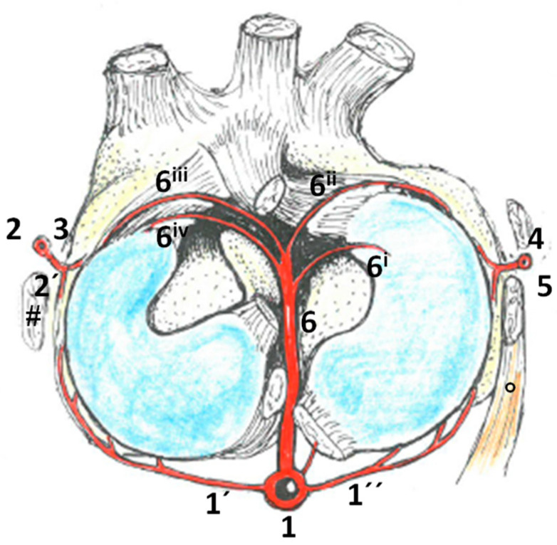 Figure 8