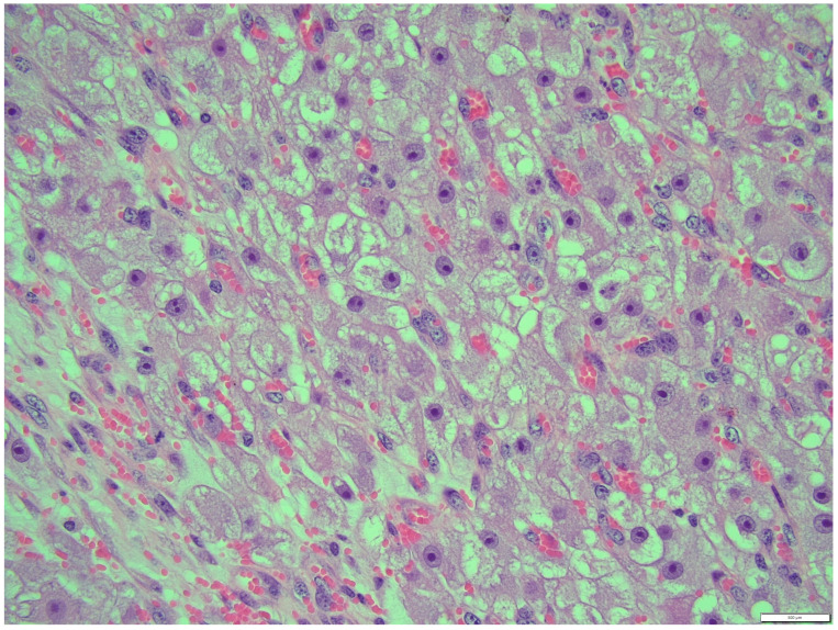 Figure 12